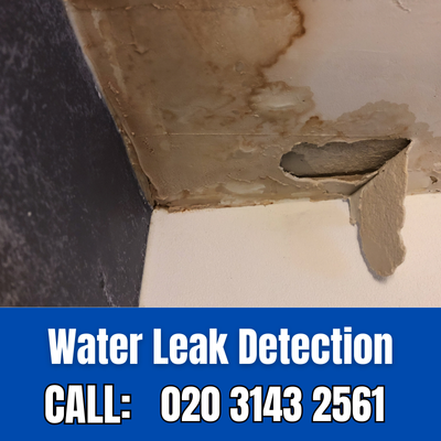 Expert Water Leak Detection Services in East Horsley | East Horsley Leak Detection